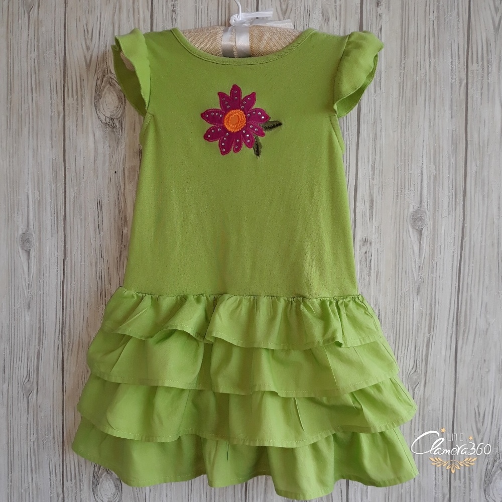 Gymboree Wild For Zebra Ruffle Dress Size 3